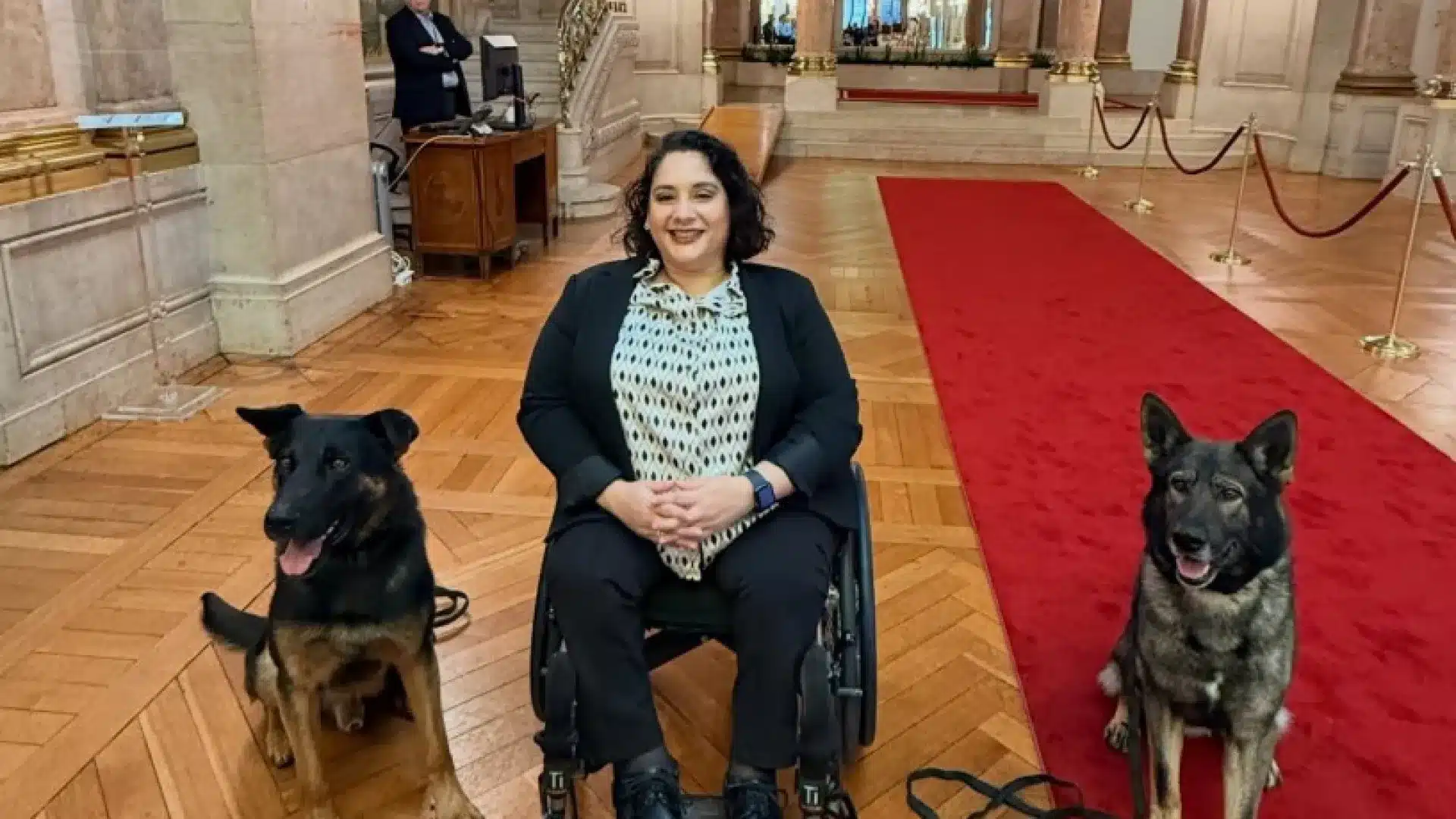 Des chiens au Parlement ? "Discrets, mais fondamentaux". Faites leur connaissance.