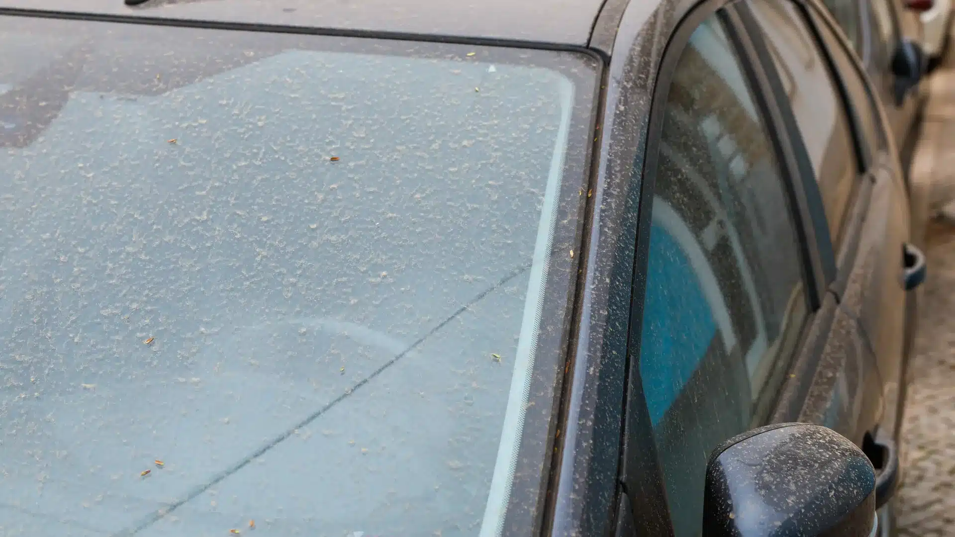 DGS : Le Portugal continental avec une mauvaise qualité de l'air jusqu'à jeudi