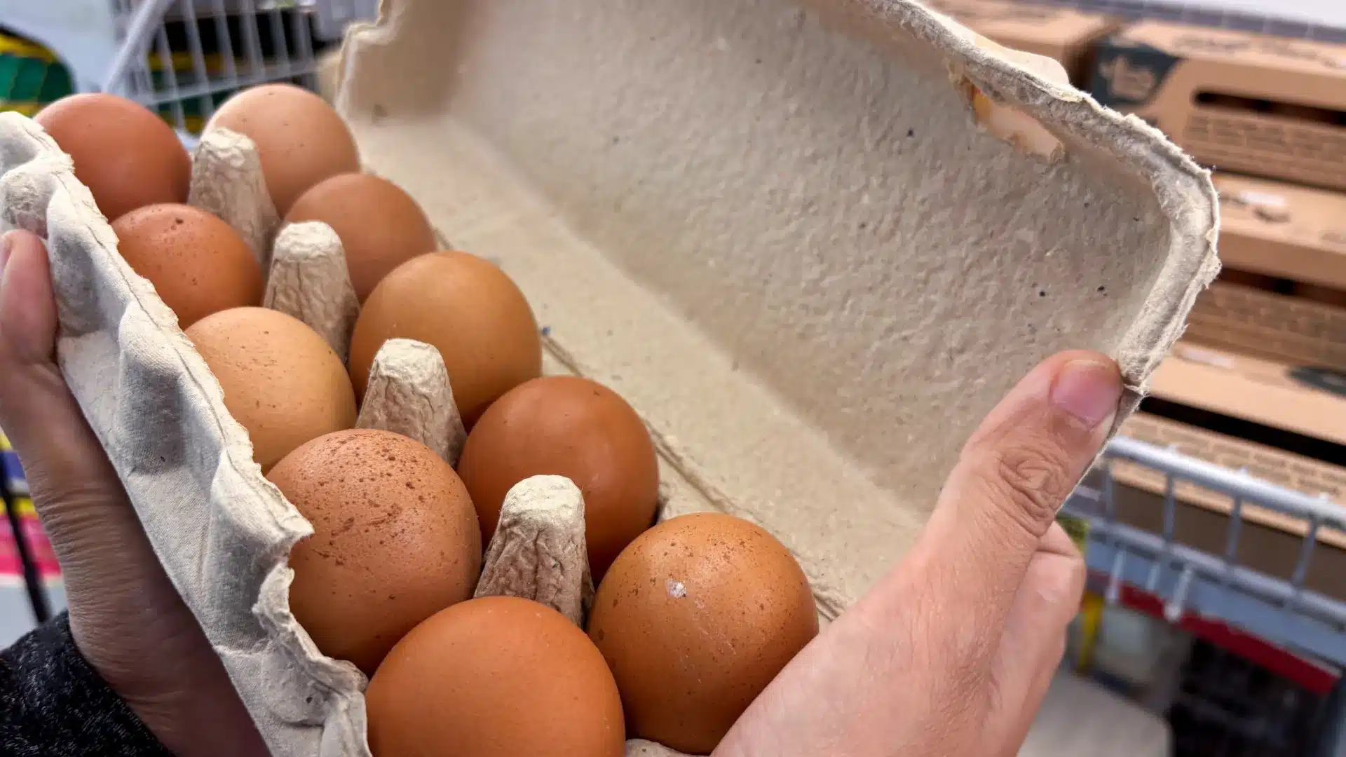 En route pour Pâques... Quel est le prix des œufs ? Va-t-il augmenter ?