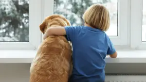 Enfant avec spectre de l'autisme sort de la maison avec le chien et se perd à Lisbonne
