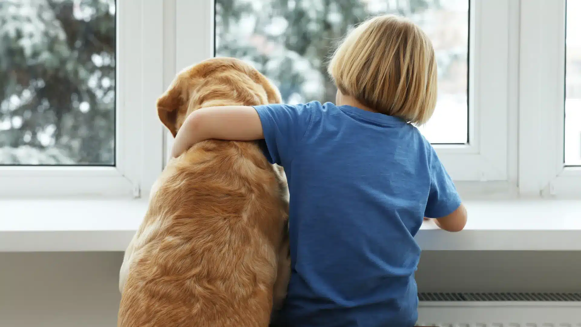 Enfant avec spectre de l'autisme sort de la maison avec le chien et se perd à Lisbonne