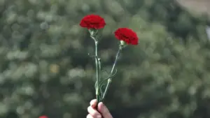 Entre la pluie, 30ºC et le 25 avril dans la rue: Les prévisions pour le week-end.