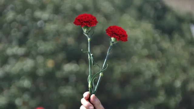 Entre la pluie, 30ºC et le 25 avril dans la rue: Les prévisions pour le week-end.
