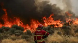 Fogos? Le Seguro voit avec "grande preocupação" la période qui s'approche.