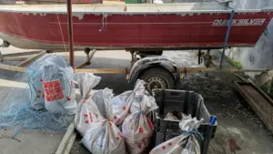 GNR identifie des pêcheurs sans licence et saisit 320 kg de poisson à Évora