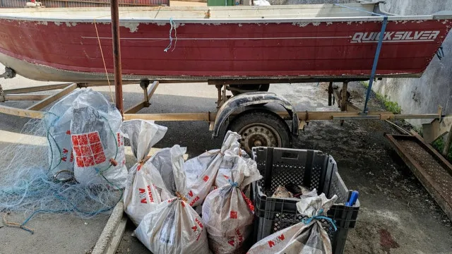 GNR identifie des pêcheurs sans licence et saisit 320 kg de poisson à Évora