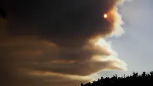 Incendie à Vale de Cambra "en train de céder aux moyens de lutte".