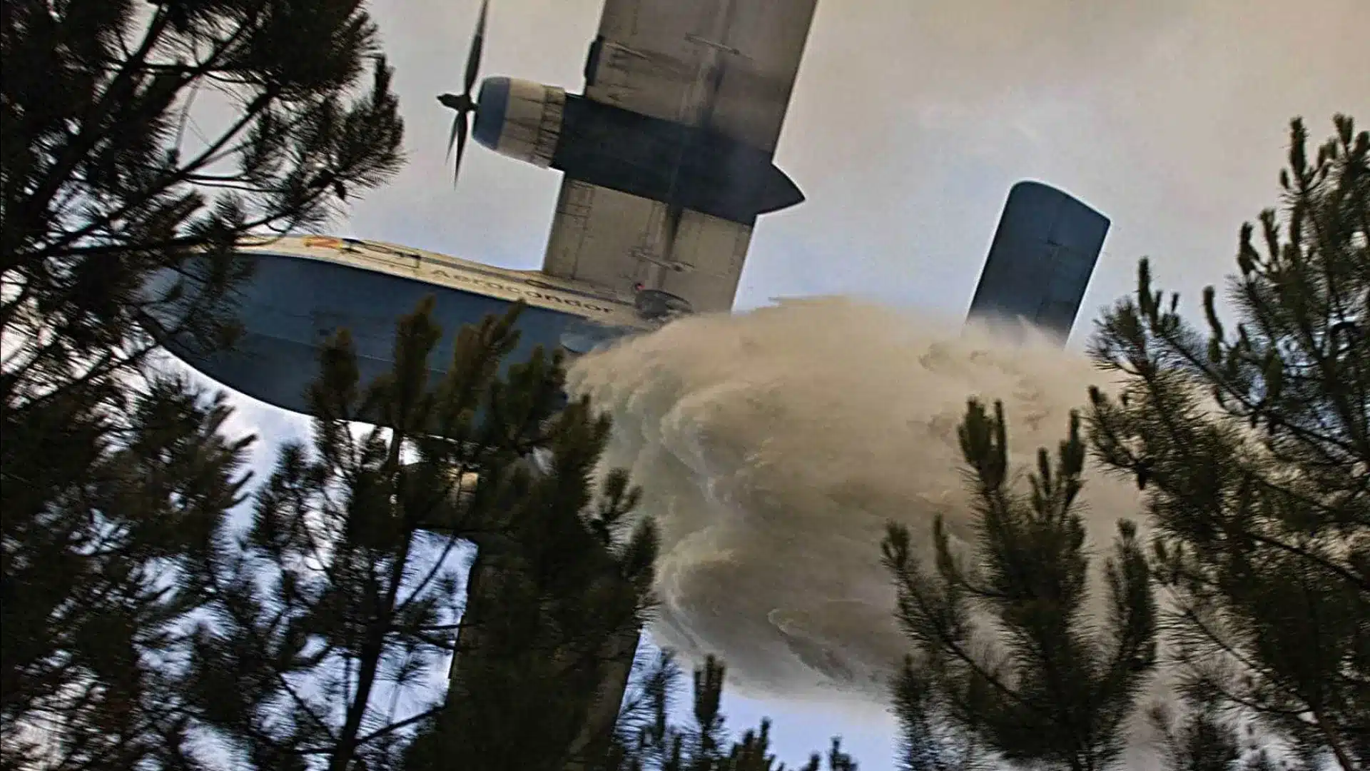 Incendies. Les Forces Armées disposeront d'hélicoptères Black Hawk et d'avions C-130.