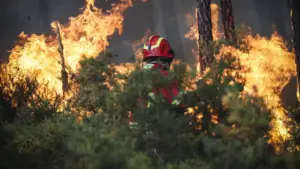 Incendies : Un suspect arrêté pour avoir allumé un feu à Anadia.