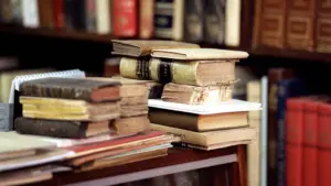 Jeremias Francisco Jeremias et Mafalda Cordeiro remportent le Programme d'Échange.