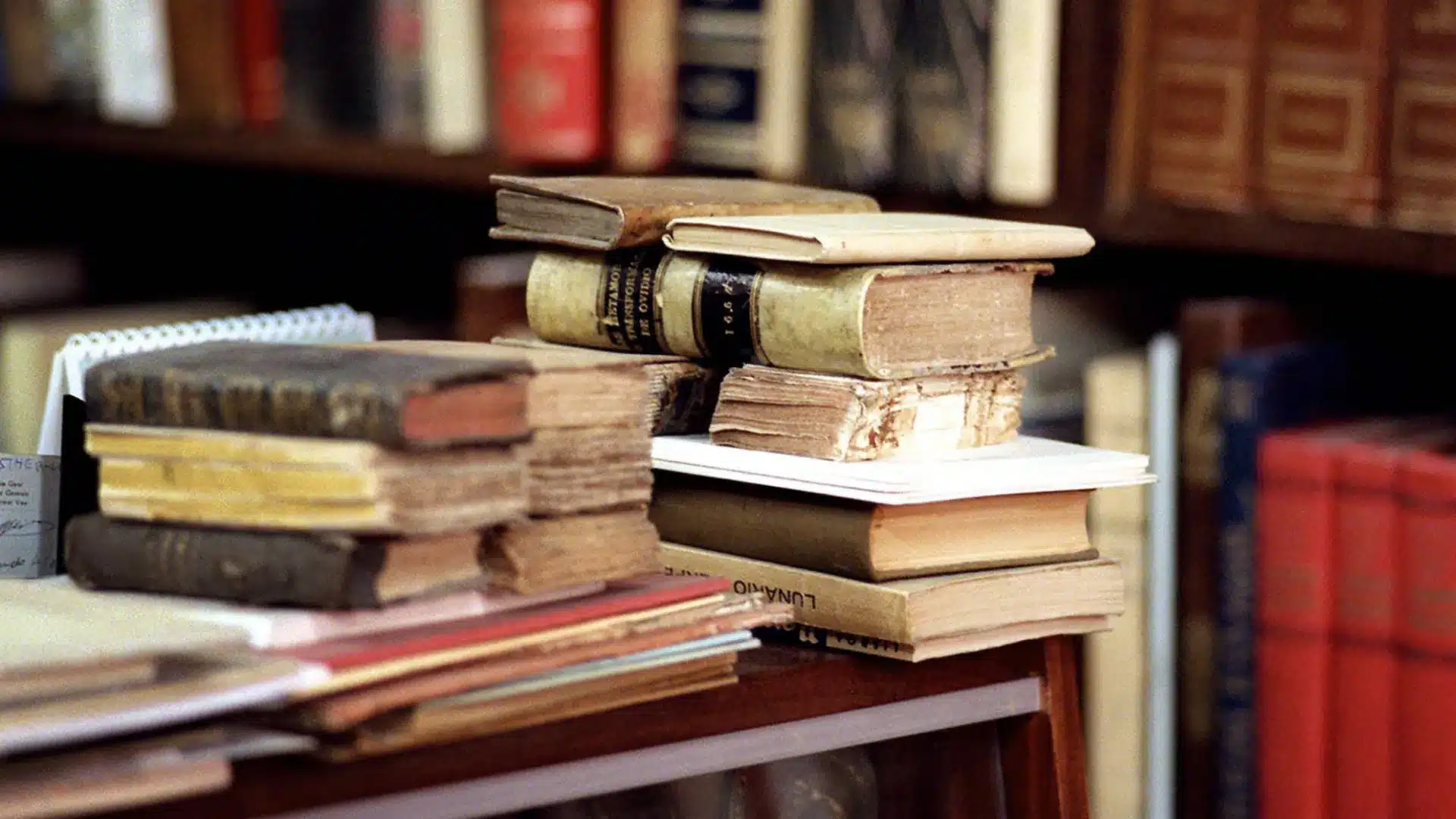 Jeremias Francisco Jeremias et Mafalda Cordeiro remportent le Programme d'Échange.