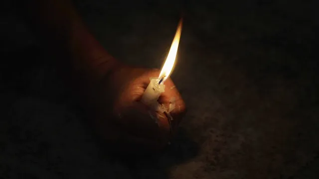 José Luís Tinoco. La SPA déplore la mort de l'artiste et créateur aux multiples facettes