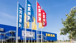 La Câmara prépare un accord avec IKEA pour reboiser la Serra da Lousã.