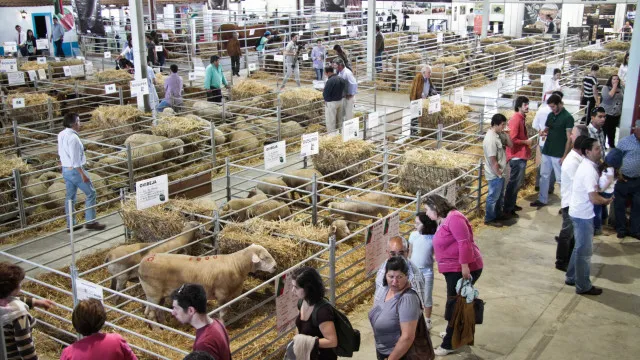 La Feira Ovibeja commence mercredi avec le vin comme thème central.