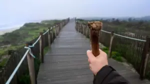 La GNR va soutenir les pèlerins se rendant à Saint-Jacques-de-Compostelle jusqu'en octobre.