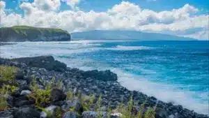 La marine sauve un navigateur solitaire au large de l'île de São Miguel.