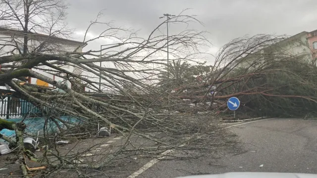 La municipalité de Pombal crée une ligne de soutien pour l'économie locale.