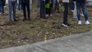 La peur et les temps d'attente poussent les immigrants à payer pour des cours afin d'obtenir des diplômes.