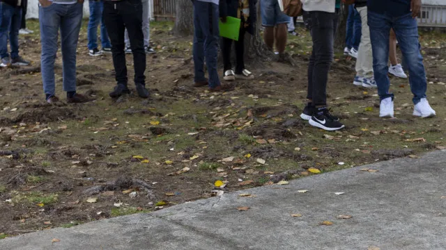 La peur et les temps d'attente poussent les immigrants à payer pour des cours afin d'obtenir des diplômes.