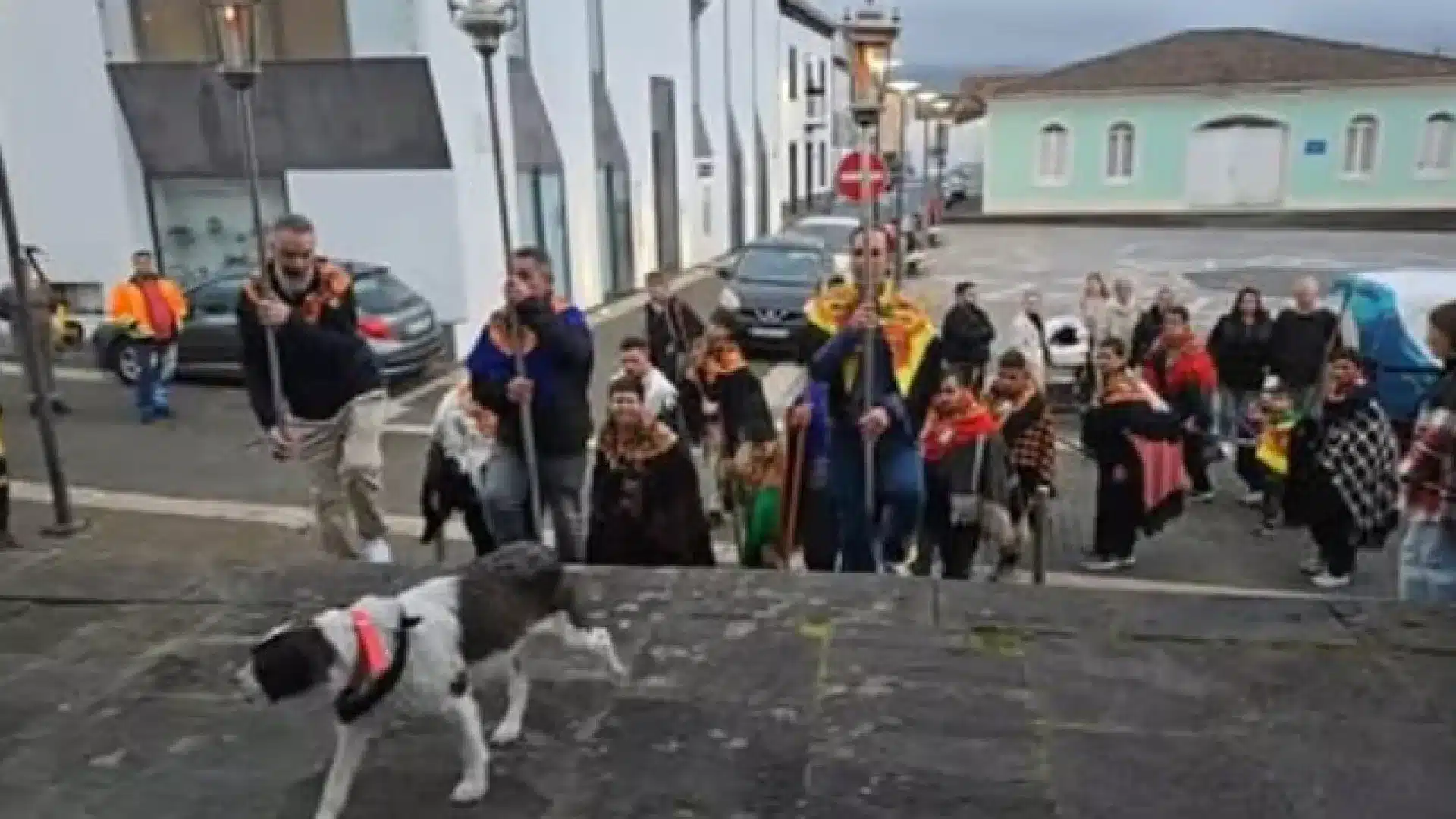La poupée ne prie pas, mais elle ressent et a déjà gagné le titre de pèlerine à 4 pattes.