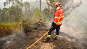 La Protection Civile veut un renforcement du budget à 191 millions.