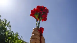 L'Associação 25 de Abril demande "le silence des armes, la fin des guerres"