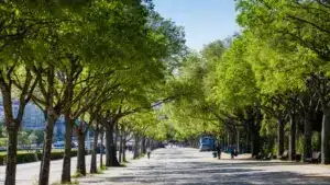 Le beau temps est de retour... À quoi s'attendre pour jeudi