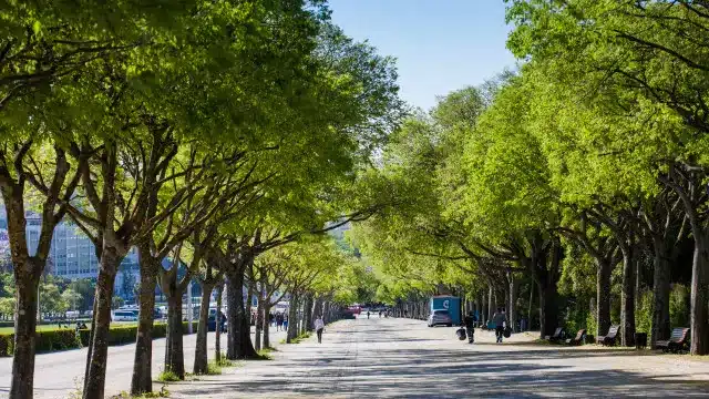Le beau temps est de retour... À quoi s'attendre pour jeudi