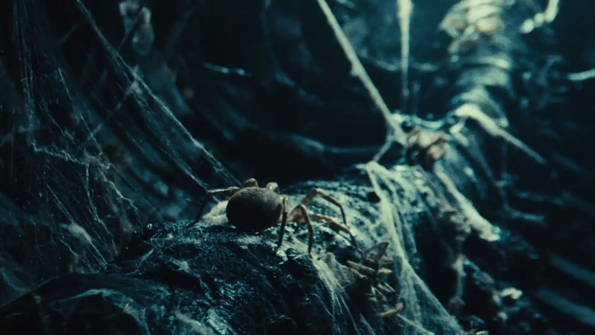 Le court-métrage "Atom & Void" remporte la 4e édition des Prémios Curtas