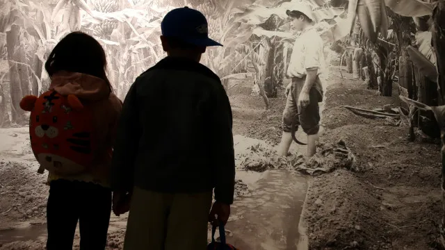 Le fruit qui est devenu une image de marque de Madère a maintenant un musée.