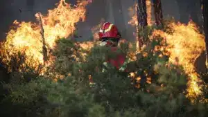 Le gouvernement crée un Commandement Intégré de Prévention et d'Opérations pour réduire le risque