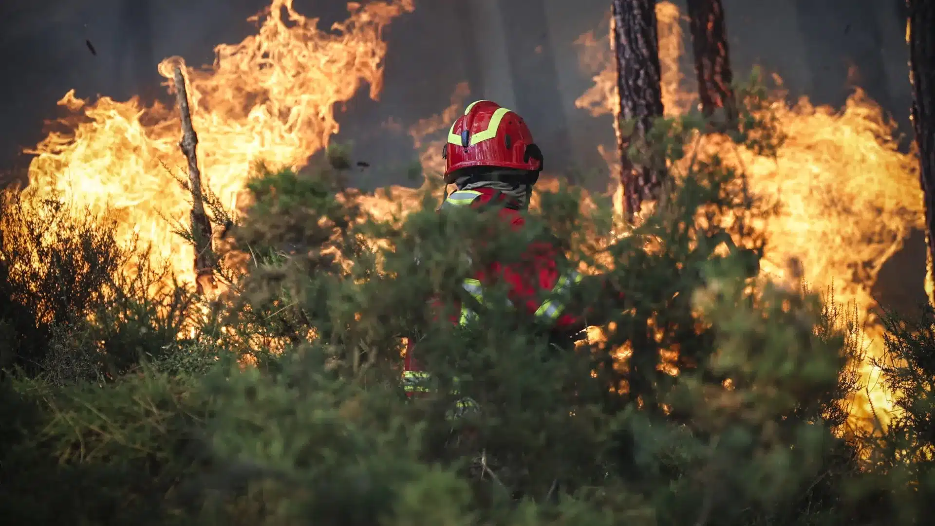 Le gouvernement crée un Commandement Intégré de Prévention et d'Opérations pour réduire le risque