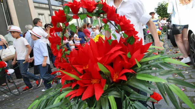 Le gouvernement de Madère investit plus de 1 million dans la Fête de la Fleur.
