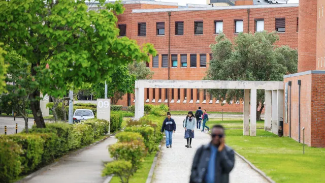Le nombre d'inscriptions dans l'enseignement supérieur est le plus élevé de la dernière décennie.