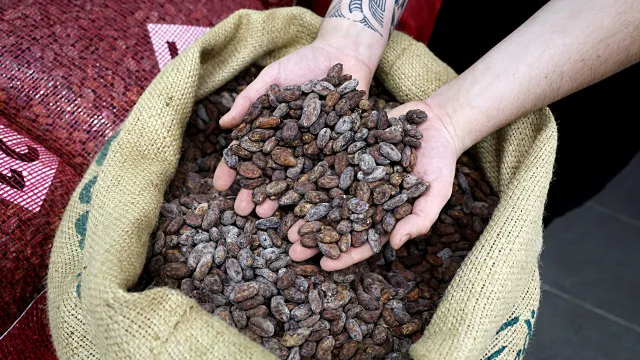 Le prix du cacao augmente en raison des tensions géopolitiques et de la baisse de la demande.