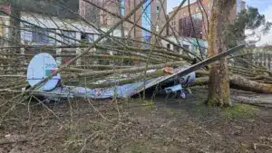 Leiria avec 37 mille participations pour dommages causés par le mauvais temps