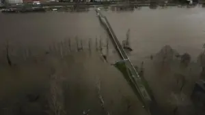 Leiria, Coimbra et Médio Tejo demandent l'extension des délais de soutien