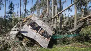 Les autorités européennes plaident pour une assurance commune contre les risques de catastrophes dans l'UE.
