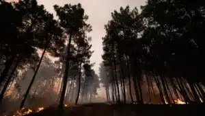 Les feux. Commandement intégré de prévention et opérations est présenté aujourd'hui.