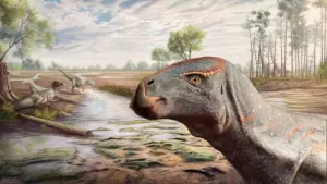 Les iguanodons existaient 16 millions d'années avant ce que l'on pensait.