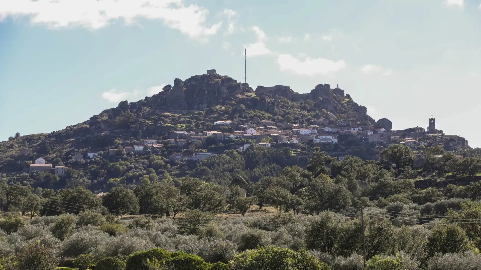 Les municipalités de Tavira et Idanha-a-Nova sont en risque très élevé d'incendie.