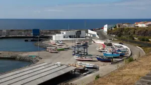 Les pêcheurs réclament des soutiens et des prix de référence.