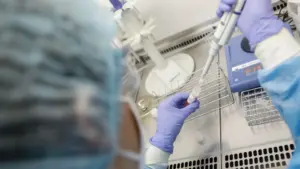 Les privés assurent 150 millions d'actes conventionnés avec le SNS par an.