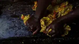 L'exportation de noix de cajou mozambicain explose à plus de 100 millions en 2025.