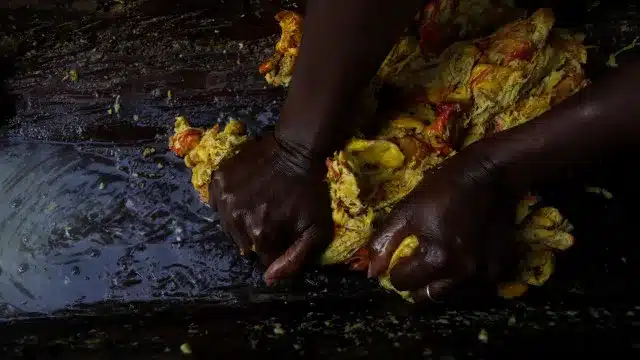 L'exportation de noix de cajou mozambicain explose à plus de 100 millions en 2025.