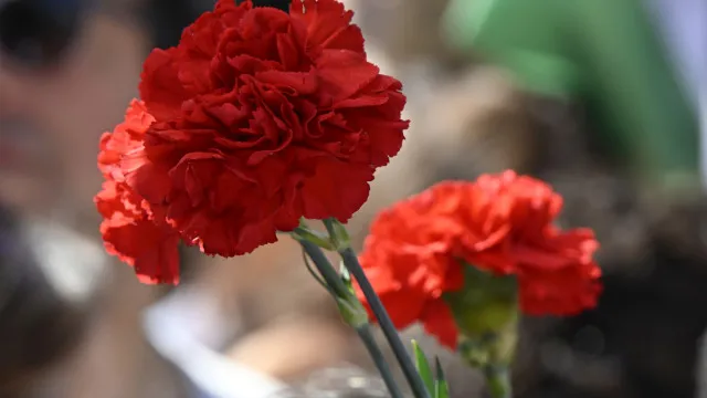 L'INE indique une baisse de la participation électorale au Portugal depuis 1975.