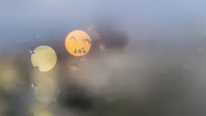 L'IPMA met à jour les avertissements et place 11 districts en jaune mardi.