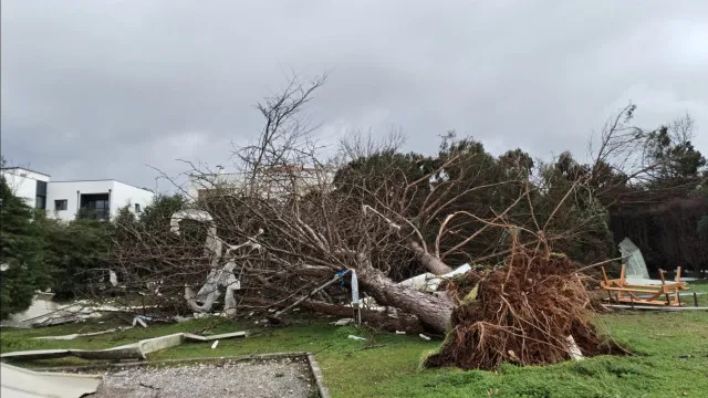 Mauvais temps, dégâts, soutiens : 3 mois après, comment vont les régions touchées ?