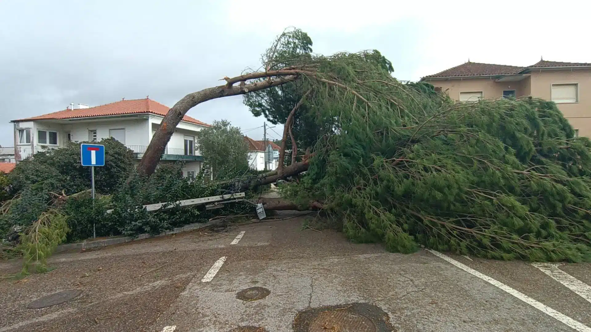Mauvais temps : Leiria propose des téléconsultations de psychologie pour les jeunes.