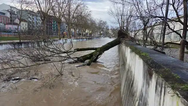 Mauvaises conditions météorologiques. Le gouvernement avance 75 millions pour la récupération des équipements.